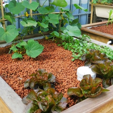КЕРАМИЧЕСКИЙ LCA Gardening Liapor Fine 50л