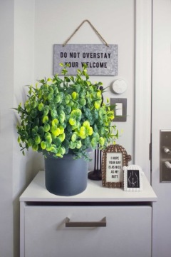 СЕЙФ, ЦВЕТОЧНЫЙ ГОРШОК, ХРАНЕНИЕ, СКРЫТЫЙ СТАЛЬНОЙ КЛЮЧ.