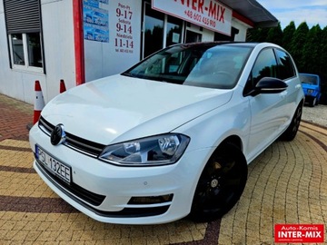 Volkswagen Golf VII Hatchback 3d 1.6 TDI-CR DPF 105KM 2013 Volkswagen Golf Hatchback zarejestrowany niski przebieg nawigacja 1.6 105KM