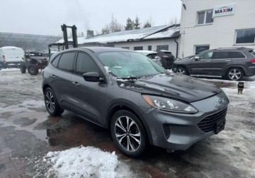 Ford Kuga III 2021 Ford Kuga 2021 Ford Kuga 4x4 - w POLSCE po wszystkich oplatach 1.5 Benzyna, zdjęcie 3