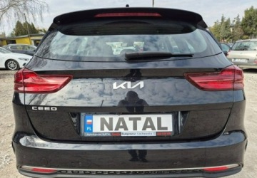 Kia Ceed III 2022 Kia Ceed Lift Duza navi Jak nowy 1.4 Benzyna 160KM, zdjęcie 2