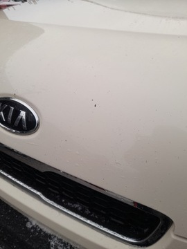KAPOTA KIA SOUL I LAKIER-A1