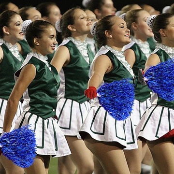 18 шт. Школа аэробики «Цветочный черлидинг»