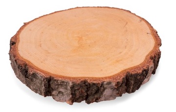 Plaster brzozowy 12-15 cm, gr. 2 cm