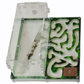 Formikarium Green House II mrówki Messor barbarus, terrarium dla mrówek