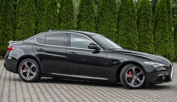 Alfa Romeo Giulia II Sedan 2.2 JTD 180KM 2016 Alfa Romeo Giulia 2.2D 180Ps Ledy Skora Bixenon Navi 1 wlasciciel BEZWYPAD, zdjęcie 16