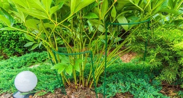 ОПОРА ПЕРГОЛА ДЛЯ ЦВЕТОЧНЫХ РАСТЕНИЙ 115 СМ