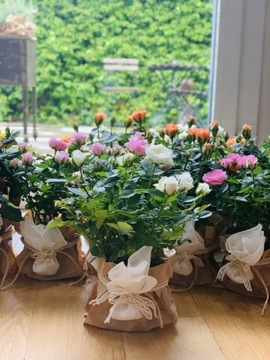 УНИВЕРСАЛЬНЫЙ грунт-субстрат для РАСТИТЕЛЬНЫХ ЦВЕТОВ 5л