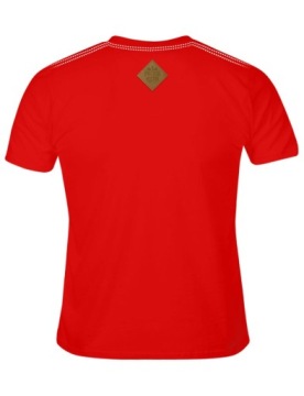 Футболка МУЖСКАЯ FAN Польша Чемпионат мира по футболу PL