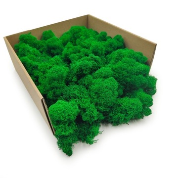 Mech Chrobotek Reniferowy - Fiński - Oczyszczony - Zielony 500g NETTO