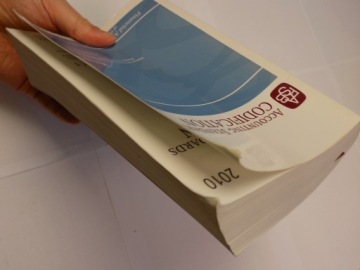 Кодификация стандартов бухгалтерского учета, том 1 / 2010 г.