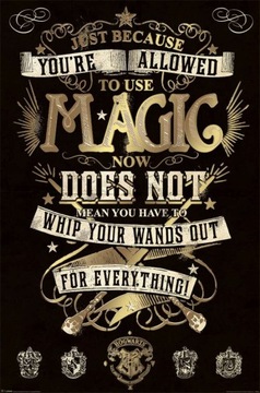 Harry Potter Magia - plakat 61x91,5 cm