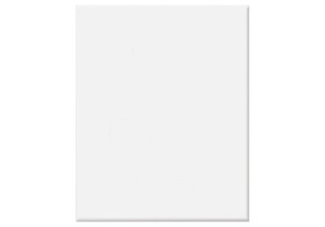 Płytka 25x20cm 20x25cm Biała MAT G.I - 0,50m2 - 10szt