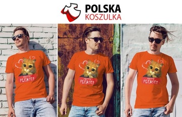 KOSZULKA T-SHIRT KOT W BUTACH M JAKOŚĆ