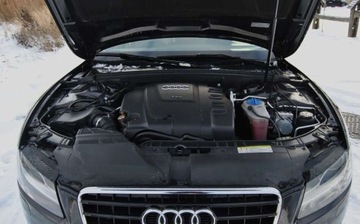 Audi A5 8T Sportback 2.0 TDI 143KM 2010 Audi A5 Sportback 2010r, 2.0 TDI, Automat, Skora, Xenon, Navi, Swietnie ut, zdjęcie 14