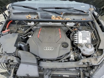 Audi SQ5 2024 Audi SQ5 Premium Plus 2024 3.0l 3.0 Benzyna 349KM, zdjęcie 6