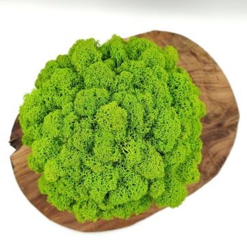 Вазон со мхом БОЛЬШОЙ МОХ в горшке 3D печать №2