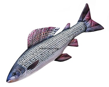 PODUSZKA MASKOTKA PREZENT LIPIEŃ 65 cm