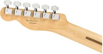 Fender Player Telecaster PF PWT