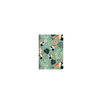 COOLPACK ZESZYT SZKOLNY W LINIE A-5 TOUCANS