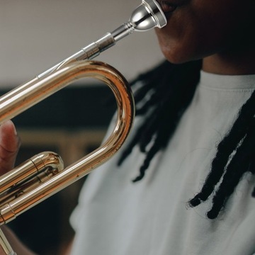 USTNIK DO PUZONU POSREBRZANY, PRZYSTĘPNY CENOWO, STUDENCKI ALT