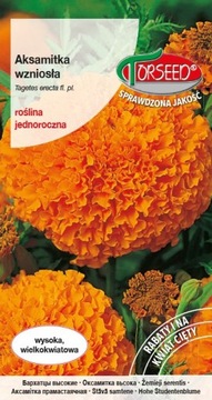 TORSEED NASIONA AKSAMITKA POMARAŃCZOWA 1 G