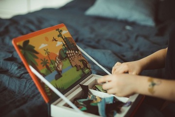 Магнитная книга Janod Динозавры магнитный пазл