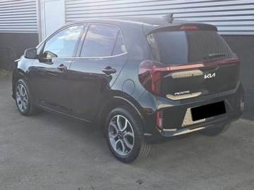 Kia Picanto III Hatchback 5d Facelifting 1.0 DPI 67KM 2025 KIA Picanto 1.0 GDI Business Line Hatchback 68KM 2025, zdjęcie 2