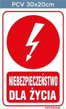 Tabliczka BHP niebezpieczeństwo #167 30x20cm P