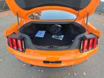 Ford Mustang VI 2021 Ford Mustang Mach 1 Fastback 2021 5.0 Benzyna 480KM, zdjęcie 4