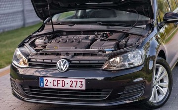 Volkswagen Golf VII Variant 1.6 TDI BlueMotion  110KM 2015 Volkswagen Golf Volkswagen Golf 1.6 Diesel 110KM, zdjęcie 18