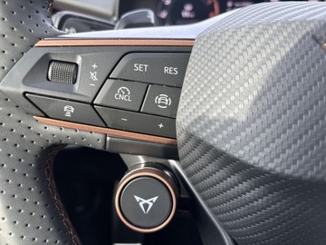 Cupra Terramar SUV 1.5 eTSI 150KM 2026 Cupra Terramar 1.5 eTSI 150 KM 7-biegowa automatyc, zdjęcie 19