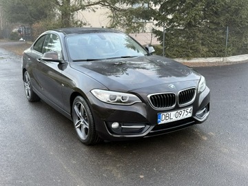 BMW Seria 2 F22-F23-F45-F46 Coupe 220i (Euro 6) 184KM 2016 BMW 220 2.0i 184KM 68tys.km. Navi Bezwypadkowy, zdjęcie 38