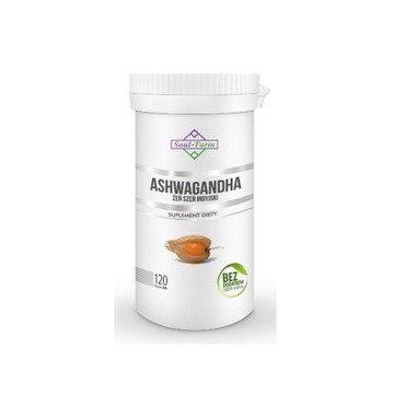 Ashwagandha ekstrakt 500mg 120 kapsułek