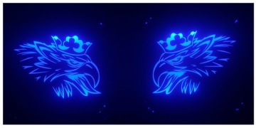 Rohové tabulky orel čtvercový Led Lightbox pro: scania daf man volvo