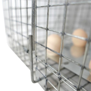 ЖИВОЛОВКА МУЖЧИНЫ ЛОВУШКА КРЫСЫ ЛОСКИ НОРКИ ТРУСЫ ЛОВУШКИ VIANO P2