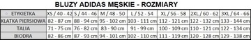 Dres Męskie Adidas GK9658 M 3S TR TT TS 5