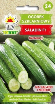Ogórek szklarniowy SALADIN F1 (wczesny) długi 1g