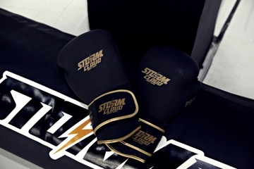 Боксерские перчатки StormCloud Boxing Pro, черные/золотые, 16 унций