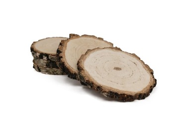 Срезы древесины, толстая кора диам. 8-10 см, полированный