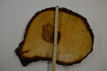 Plaster Kasztana 38x30 cm Drewniane Deski Tacka