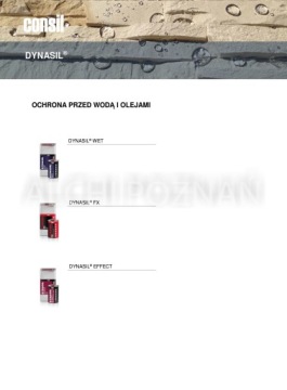 Dynasil WET Пропитка для мокрой поверхности ЭФФЕКТ 1л