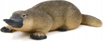 DZIOBAK AUSTRALIJSKI - MOJO - 387106