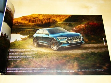 Audi e-tron 2019 на польском языке!