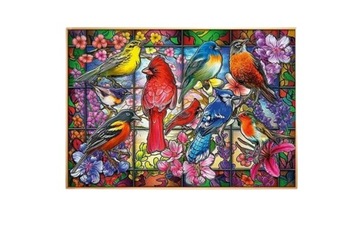 Malowanie Po Numerach Zestaw z Farbkami 40x50cm Papugi Obraz Abstrakcyjny