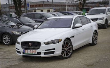 Jaguar XE Sedan 2.0 i4 180KM 2016 Jaguar XE Jaguar XE I 2.0D AWD 180KM