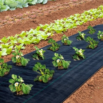 Агротакнин для клубники с отверстиями для сорняков любых метров