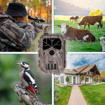 HC-BG636-48M 4G LTE лесная фотоловушка