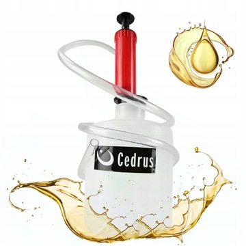 CEDRUS ACC0018 ZESTAW NAPRAWCZY SERWISOWY ODSYSACZ ODSYSARKA OLEJU PALIWA