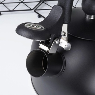 ЧАЙНИК СО СВИСТОКОМ, СКЛАДНАЯ СТАЛЬНАЯ РУЧКА, ИНДУКЦИОННЫЙ, ЧЕРНЫЙ МАТОВЫЙ, 2 Л